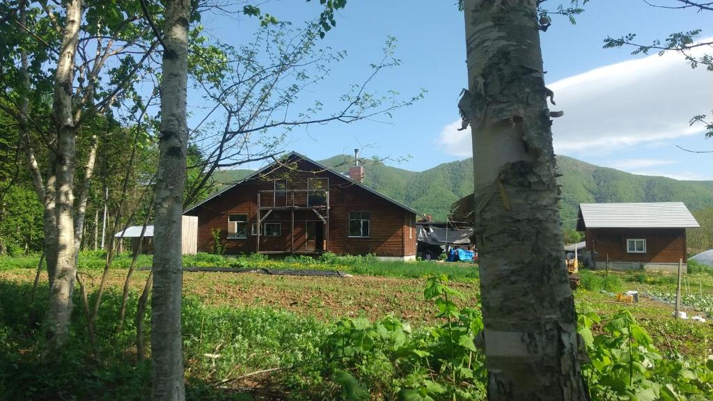 Ski base photo 4