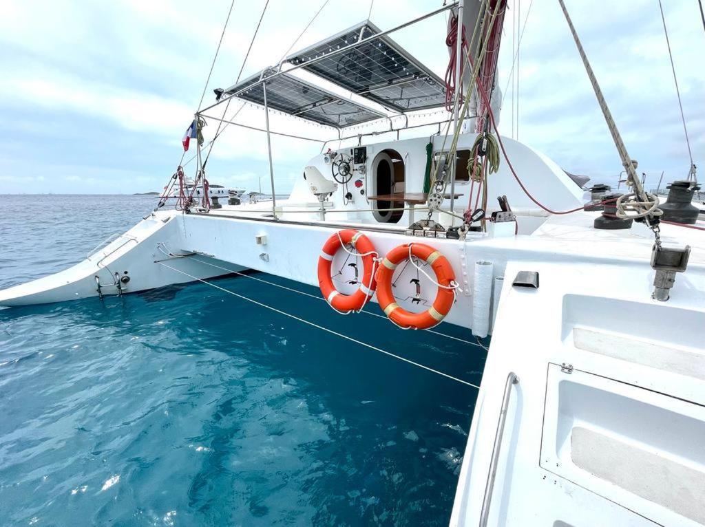 Catamarán Tagomago 50 photo 4
