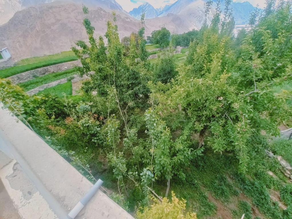 Masherbrum House photo 2
