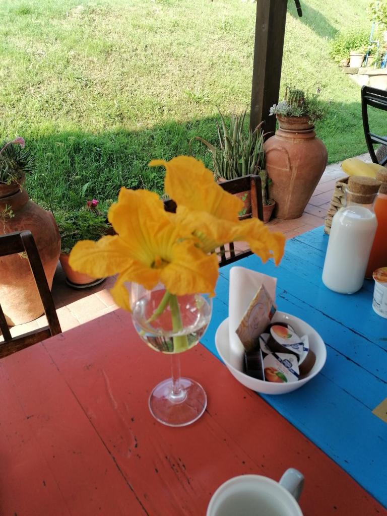 Agriturismo Campolungo photo 3