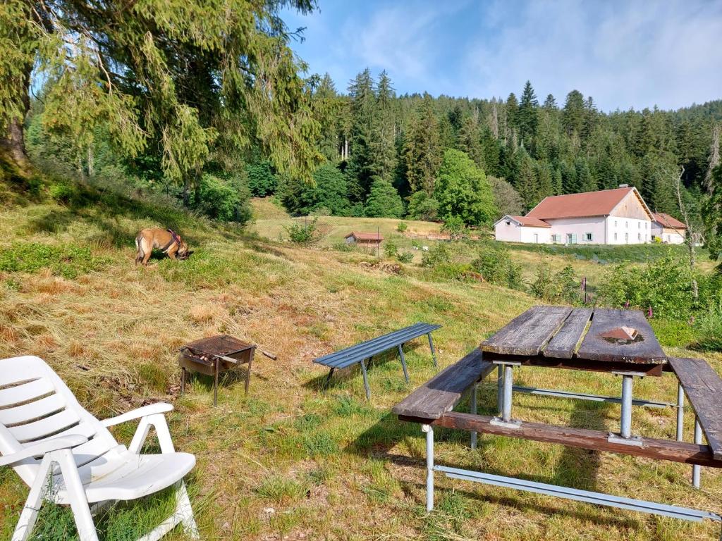 Le Refuge perché du saut de la bourrique SPA Gérardmer photo 3
