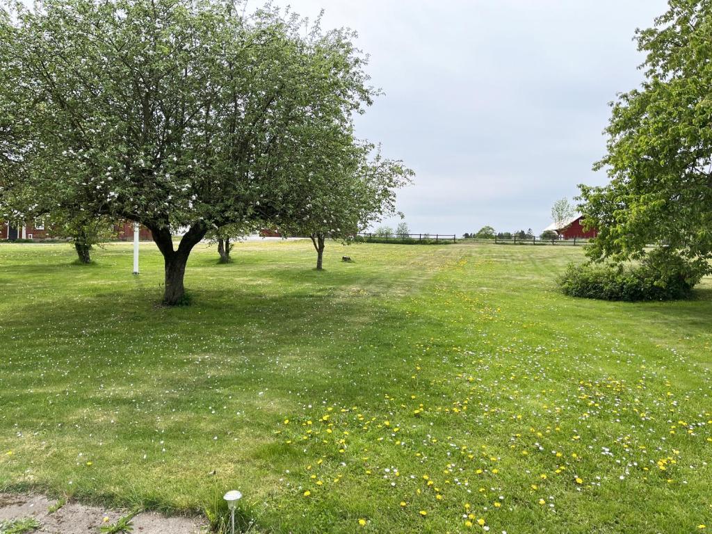 Cozy red cottage in the countryside outside Vimmerby photo 2