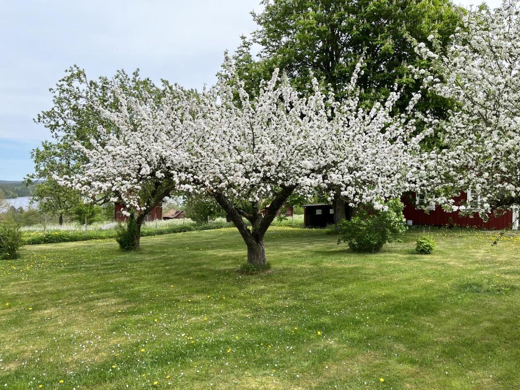 Cozy red cottage in the countryside outside Vimmerby photo 4
