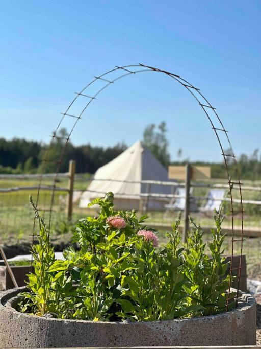 FARM LIVING photo 4