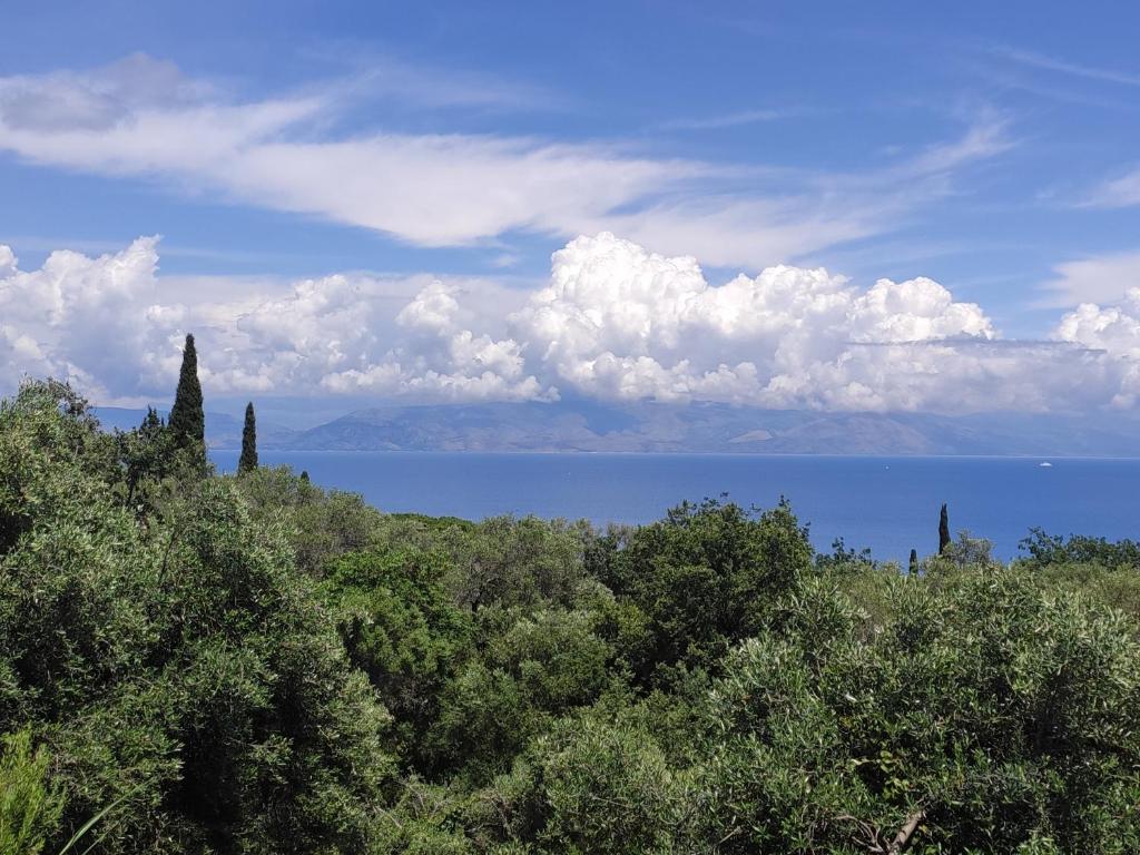Sea View House, near Achilleio photo 1