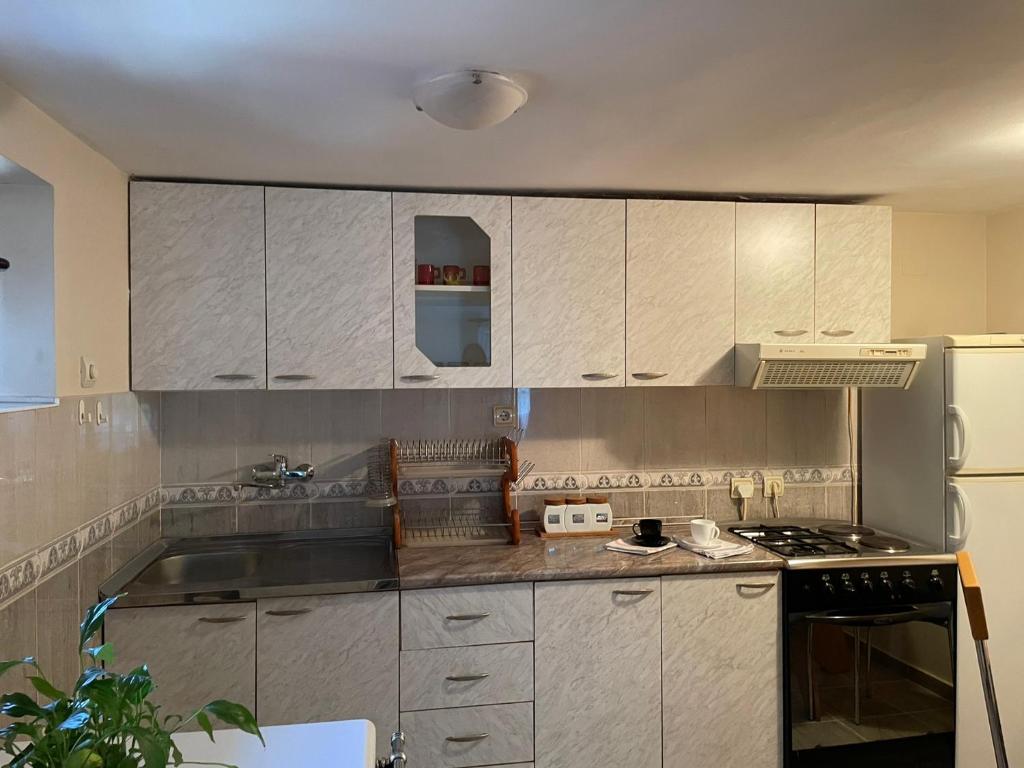 Starčević apartmani Orašac ( Aranđelovac ) photo 4