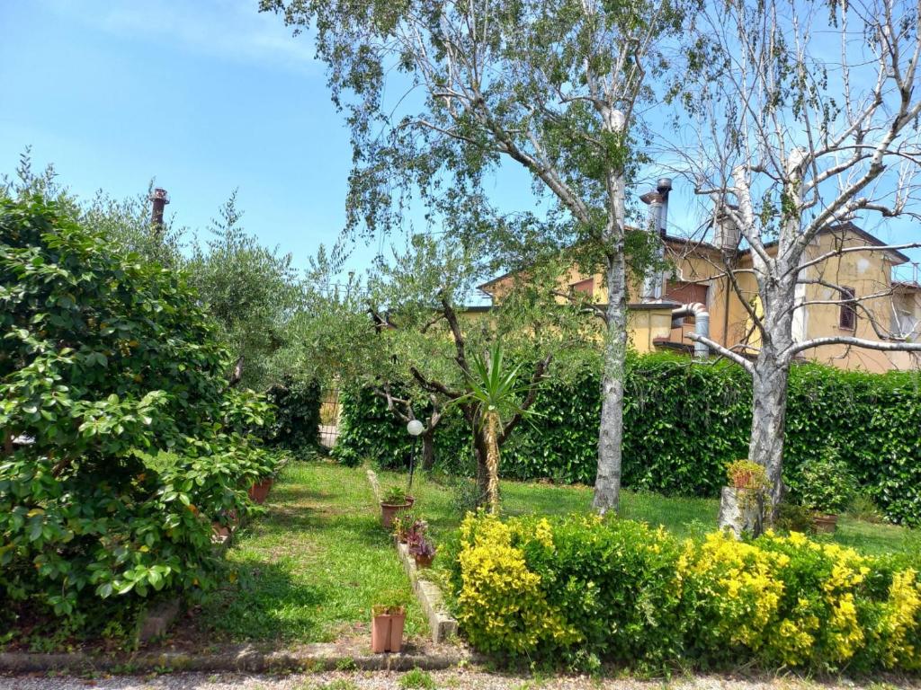 La Casa dell'Olivo