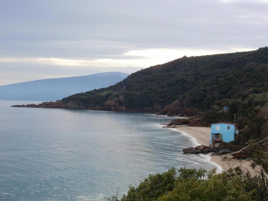 IRI.MIA nature home photo 3