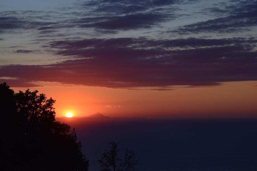 IRI.MIA nature home photo 4