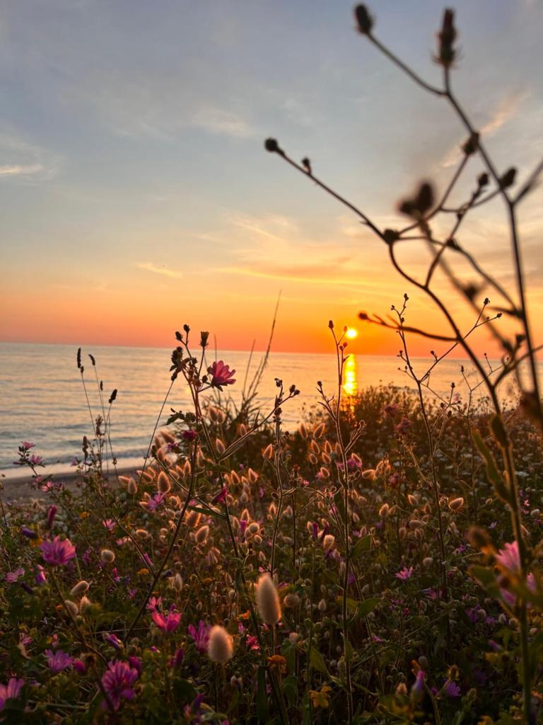 Elsa home photo 3