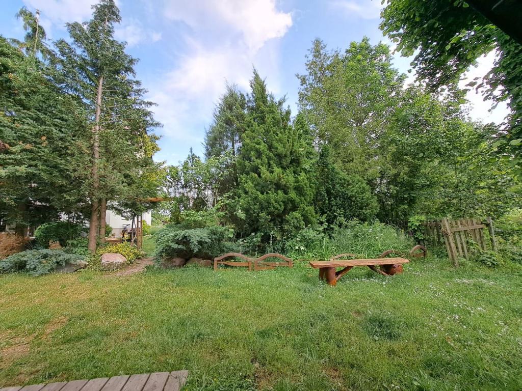 Śródziemie Gondor photo 1