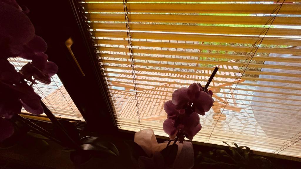 The Secret Orchid photo 4