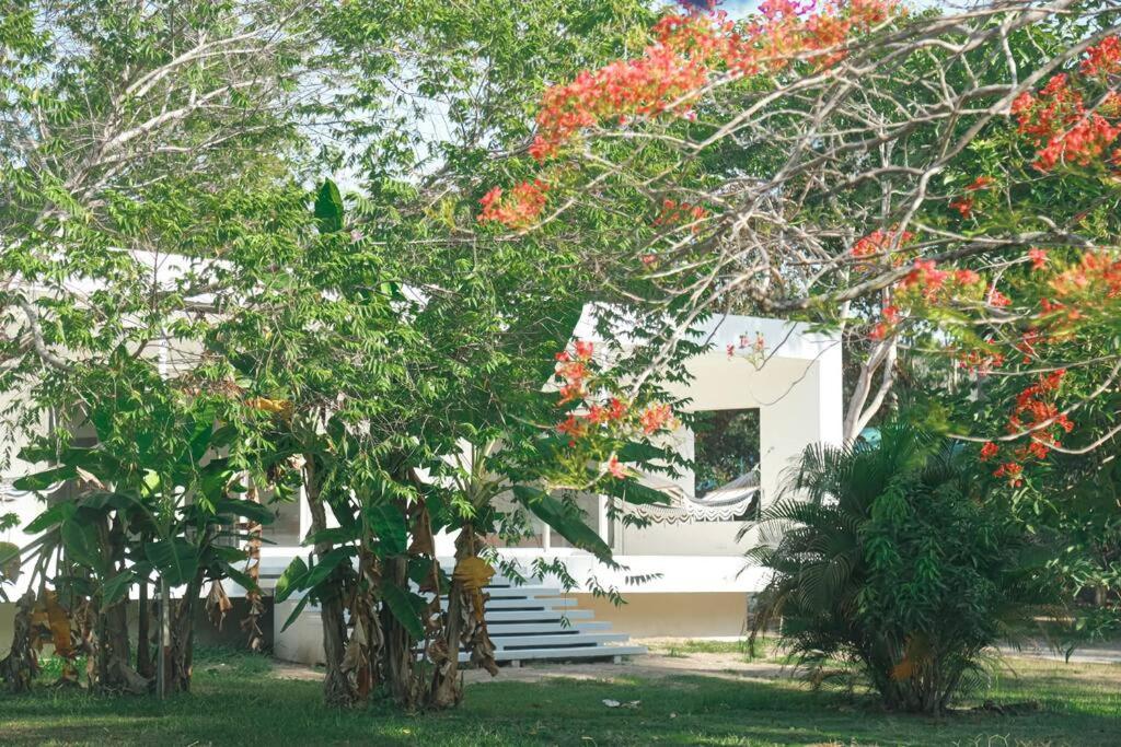 Casa Blanca Beachfront Paradise Garden photo 1