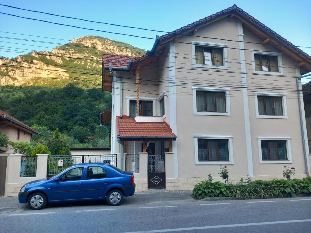 Casa Peneșel photo 2