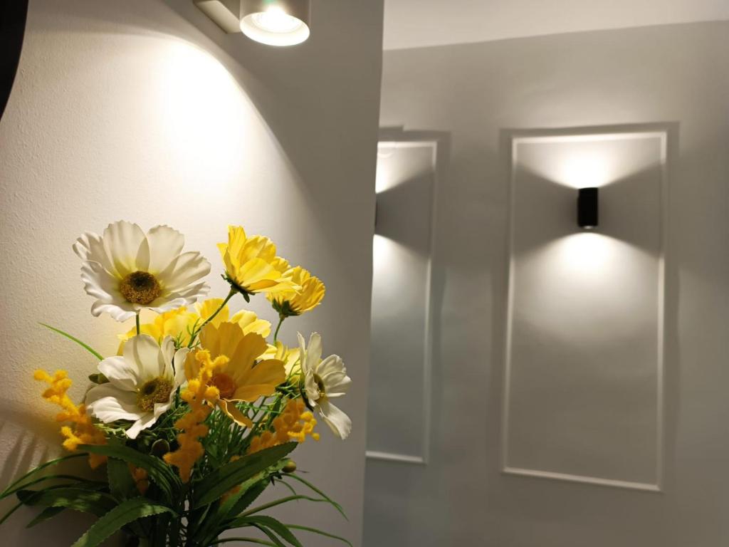 Mimosa Home photo 1