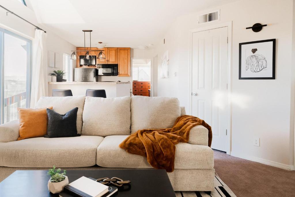 Modern Contemporary Condo - DTC Boston Commons photo 1