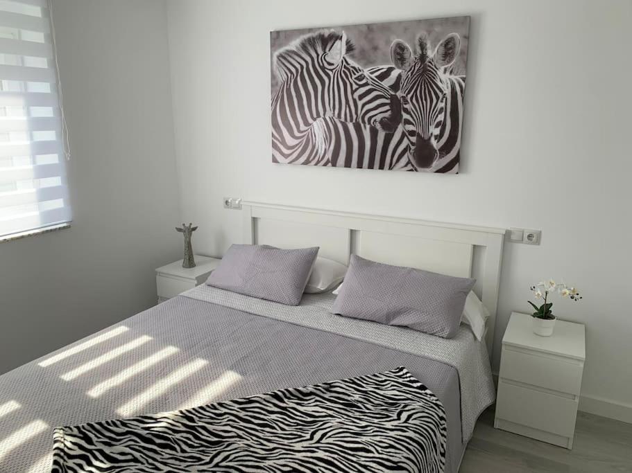 Apartamento Temático Cantabria photo 3