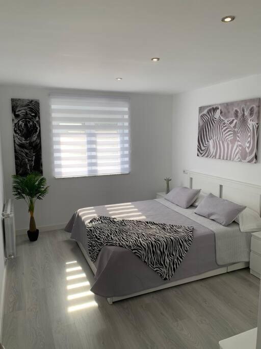 Apartamento Temático Cantabria photo 4