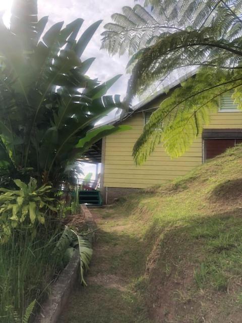 Ginger Lodge Cottage, Peters Rock, Woodford PO St Andrew, Jamaica - this property is not in Jacks Hill photo 3