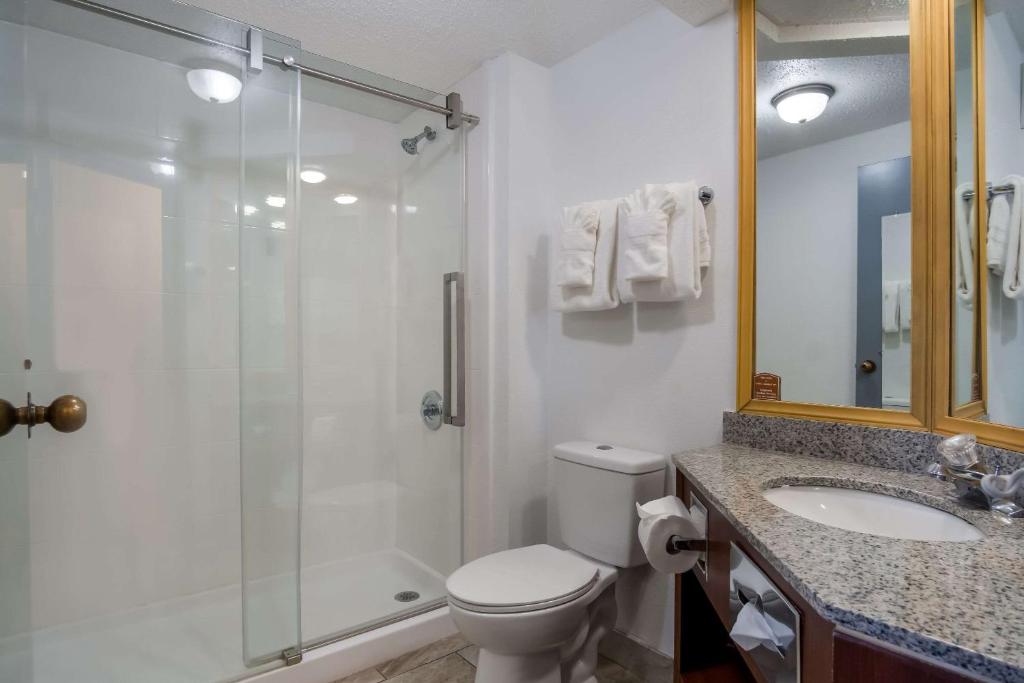 Clarion Inn and Suites Airport photo 3