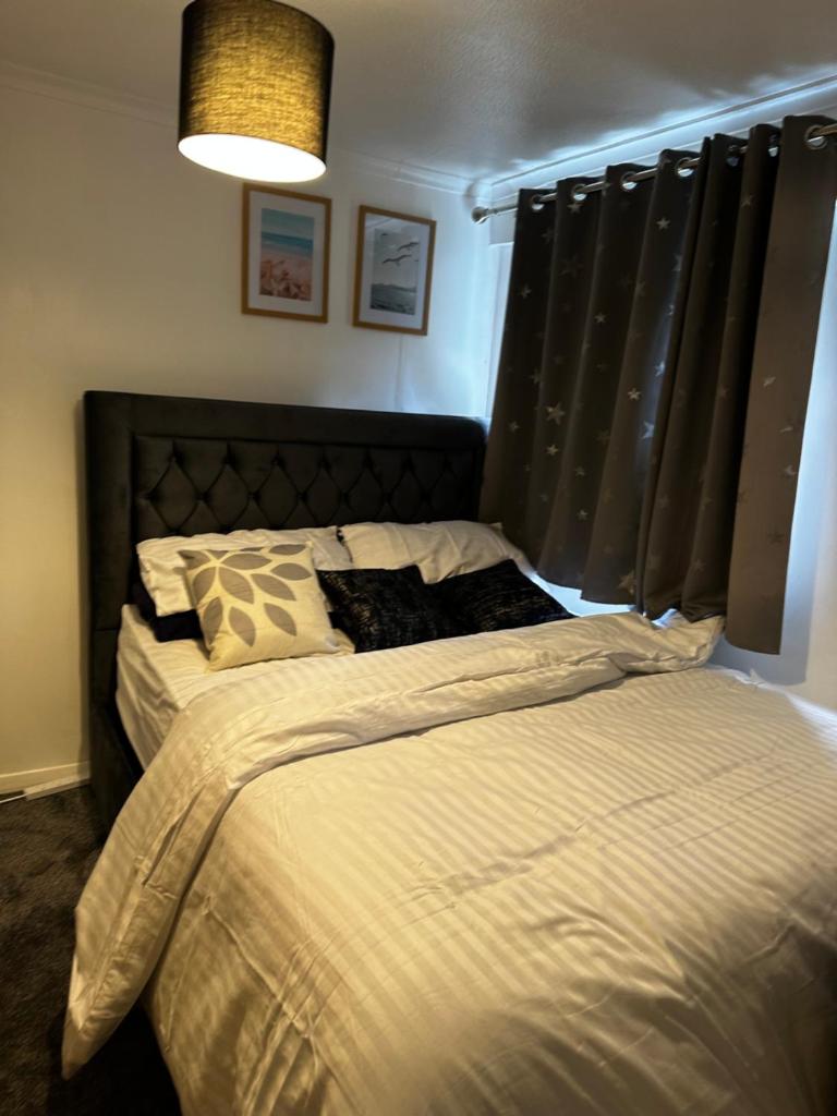 Lovely room in South London photo 1