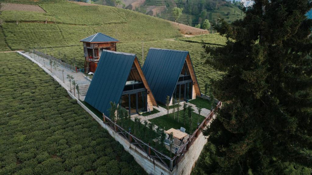 Mosa Bungalov photo 1