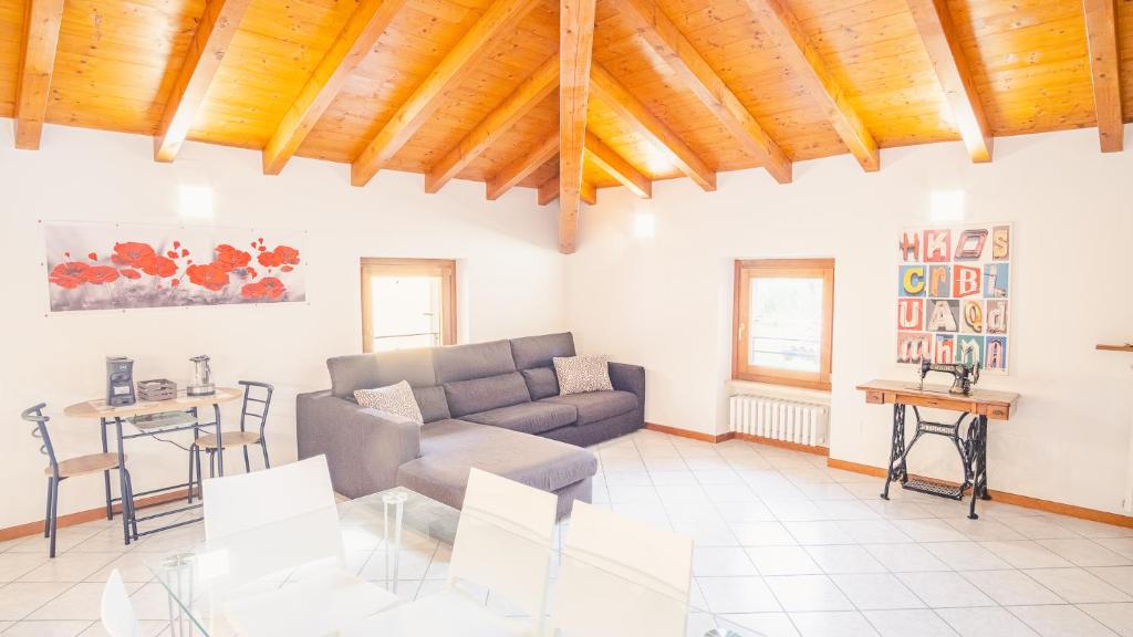 Lugana e Papaveri - Italian Homing photo 1