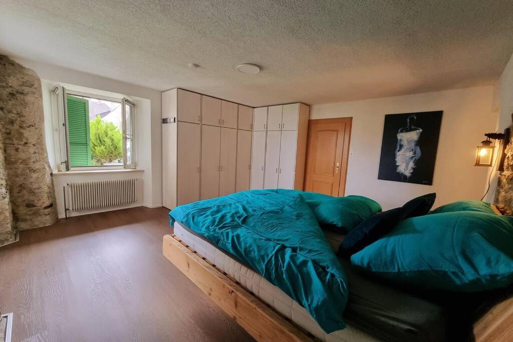 Stylish large 4 room apartment close to the center