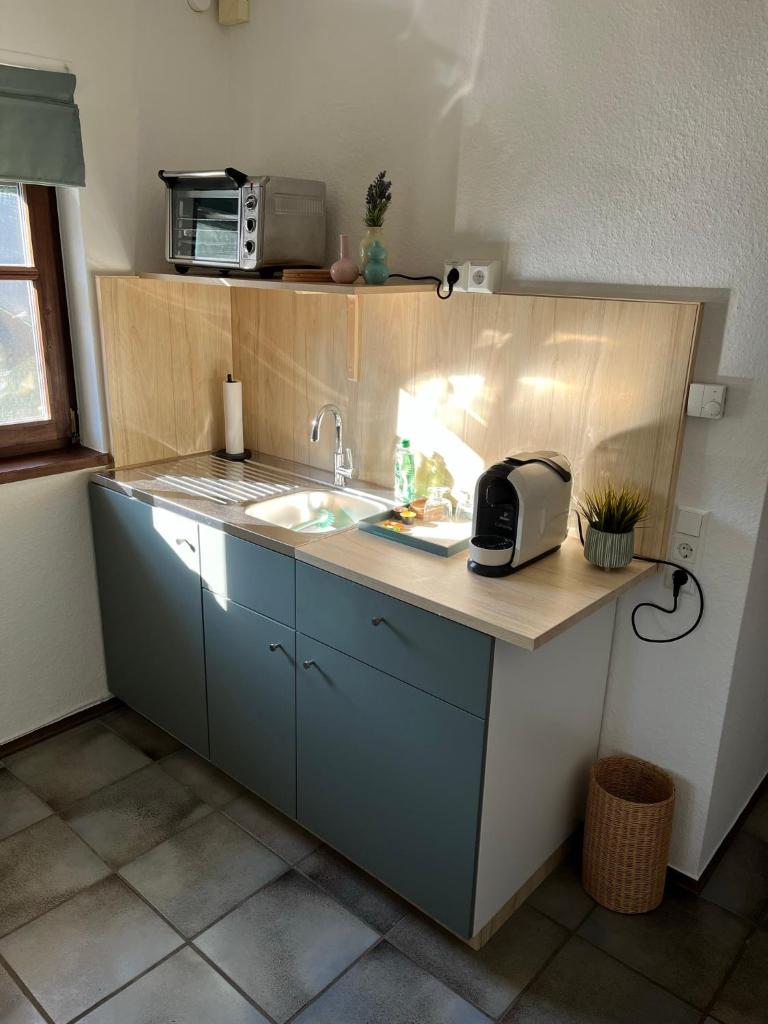 1 Zimmer Whg Waldfischbach photo 4