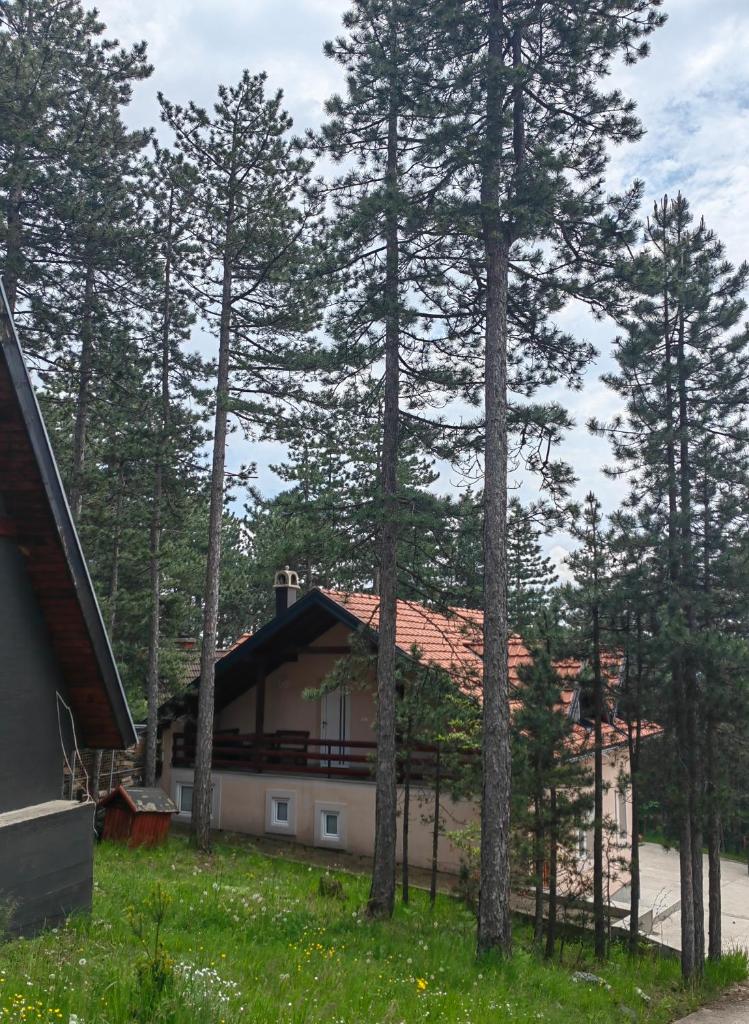 Cottage Nena Tara photo 1