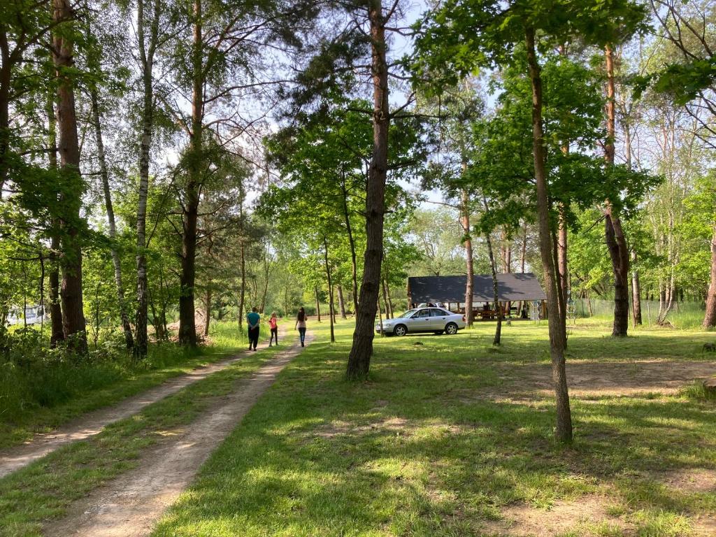 Leśne zacisze-pole namiotowe photo 4