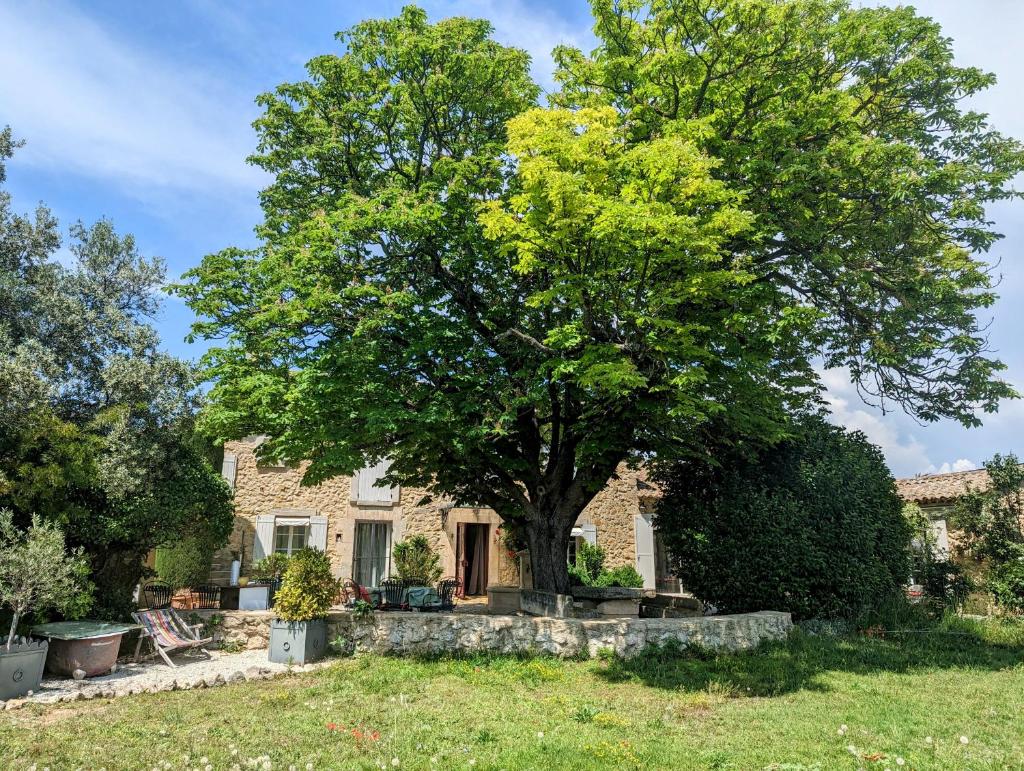 Gite Grand Luberon chez Manon en Luberon photo 2
