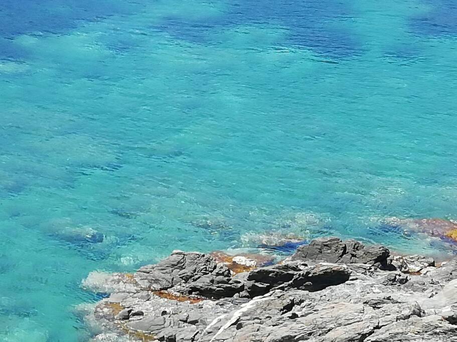 Les pieds dans l'eau ! photo 3