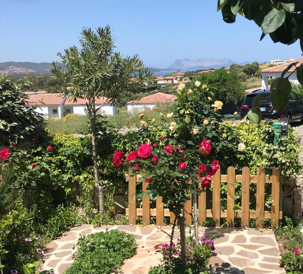 Frank's Home photo 1