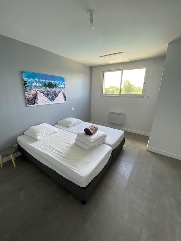 Maison Moderne Avec Piscine Chauffée Dans la Baie du Mont st Michel 200m2 photo 3
