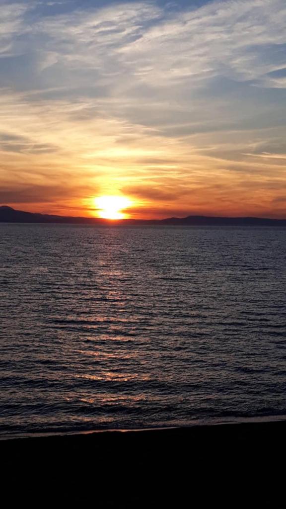 Dikili Sahilde Denize Sıfır Eşyalı Kiralık Yazlık photo 2
