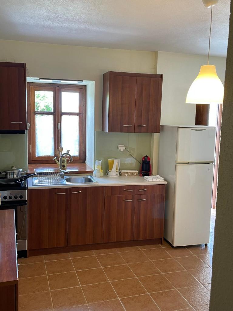 Camellia Guesthouse photo 4