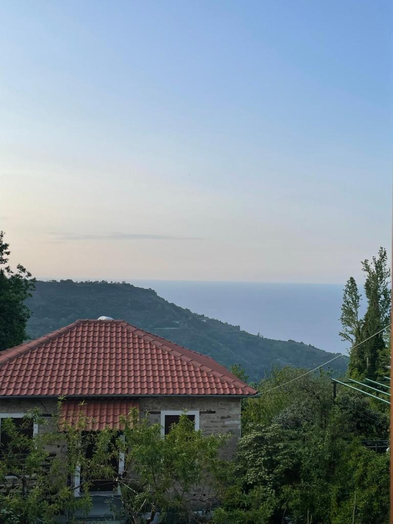Camellia Guesthouse photo 3