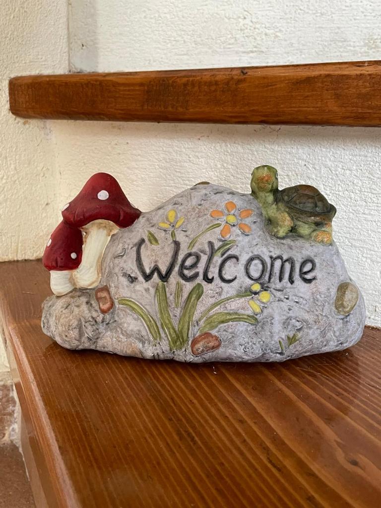 Camellia Guesthouse photo 2