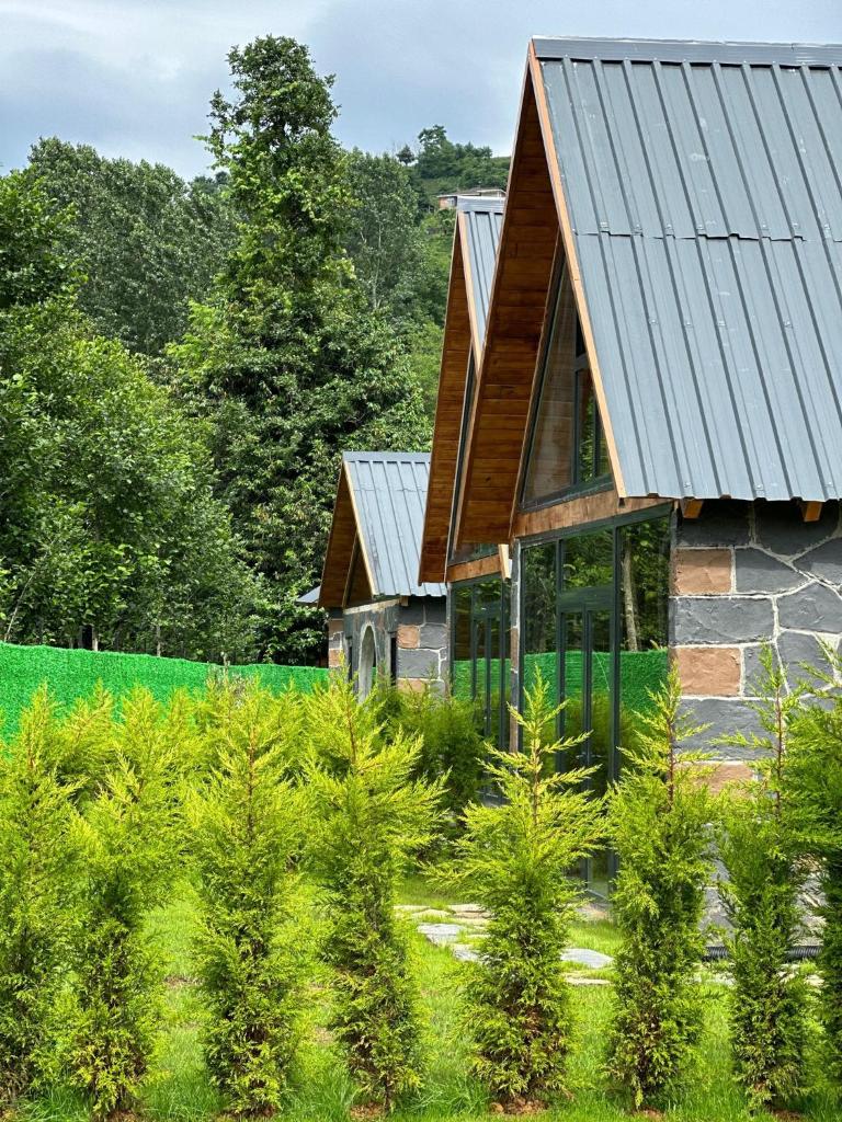 Green Paradise Resort photo 2