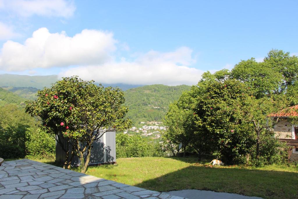 Camellia Guesthouse photo 1