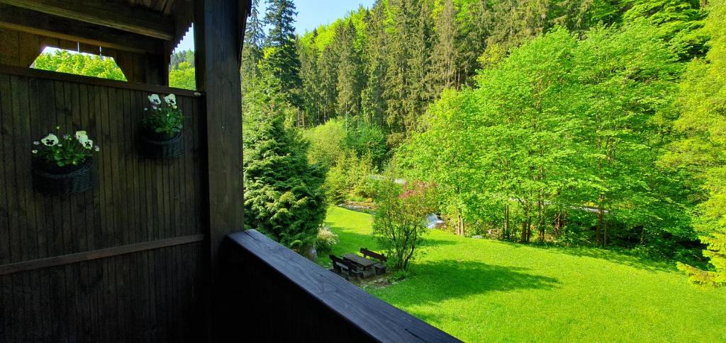 Apartamenty u Sikory photo 1