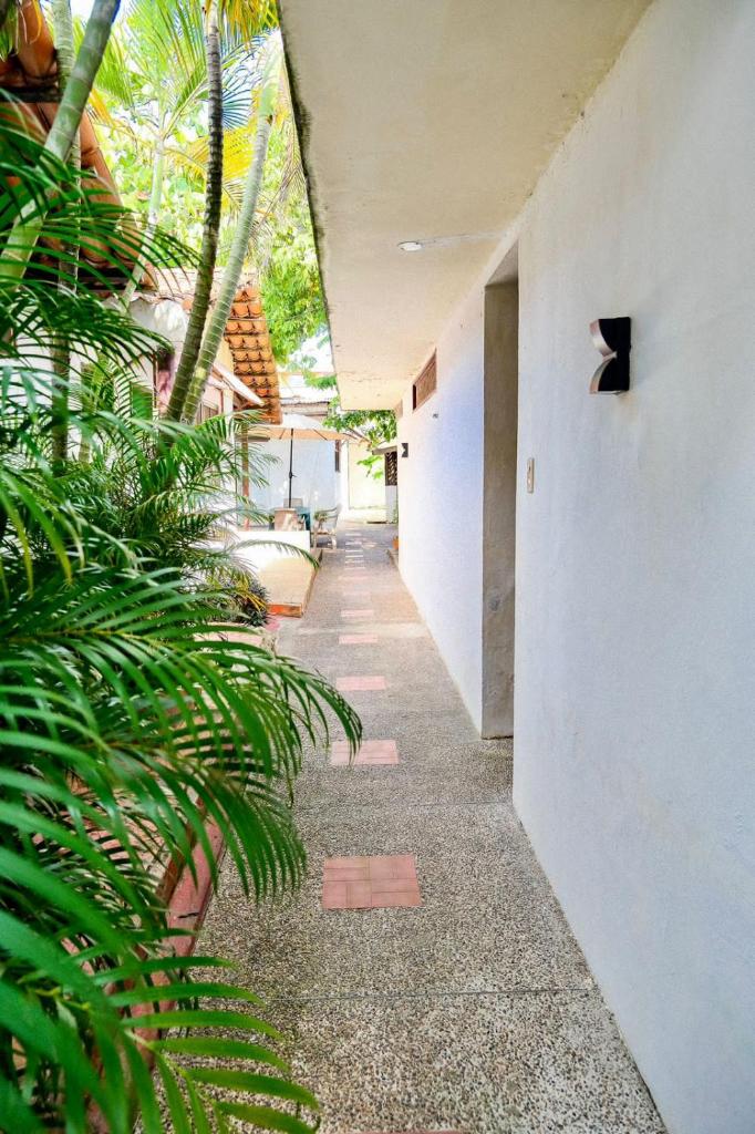 San José HOUSE photo 3
