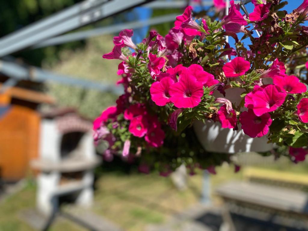 Ferienwohnung Am Franziskanergarten photo 2