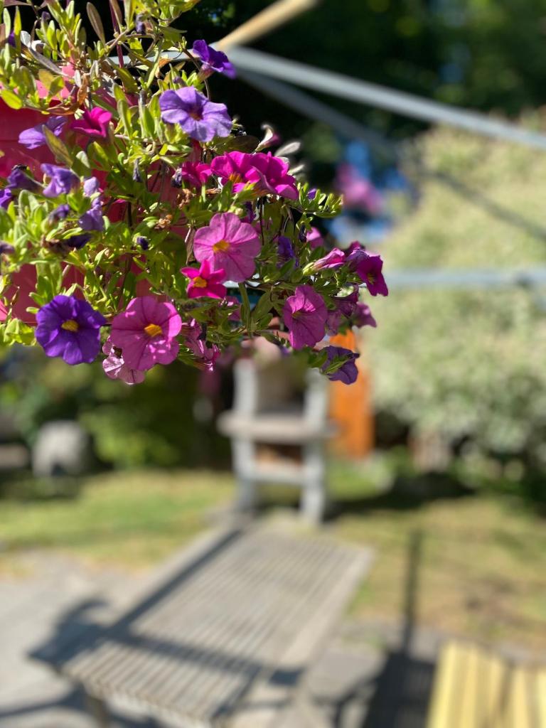 Ferienwohnung Am Franziskanergarten photo 3