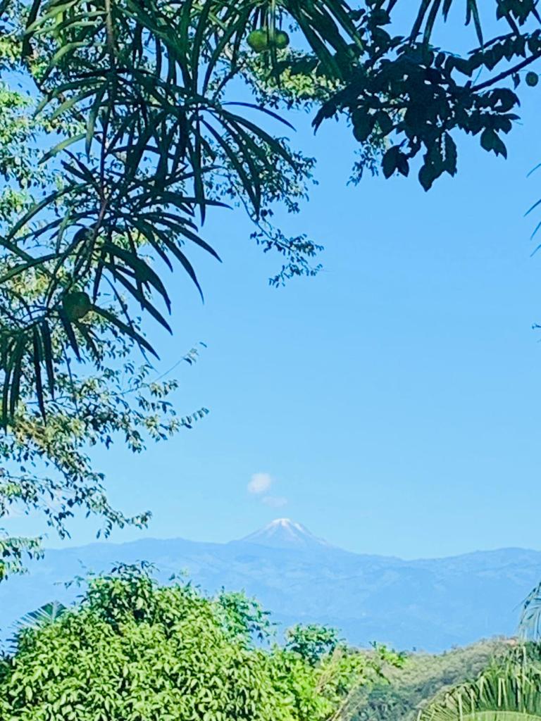 Finca Peñitas photo 3