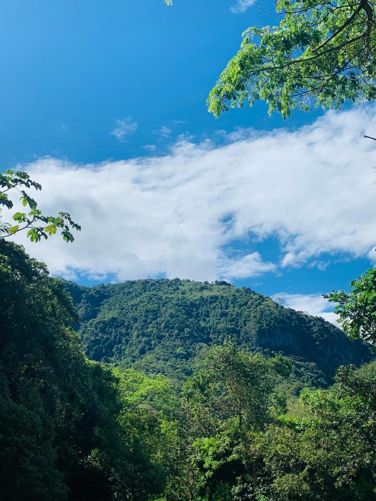 Finca Peñitas photo 2