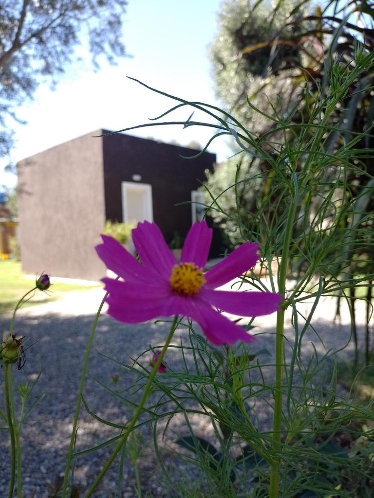 Casa Villa Alba Carpinteria photo 4