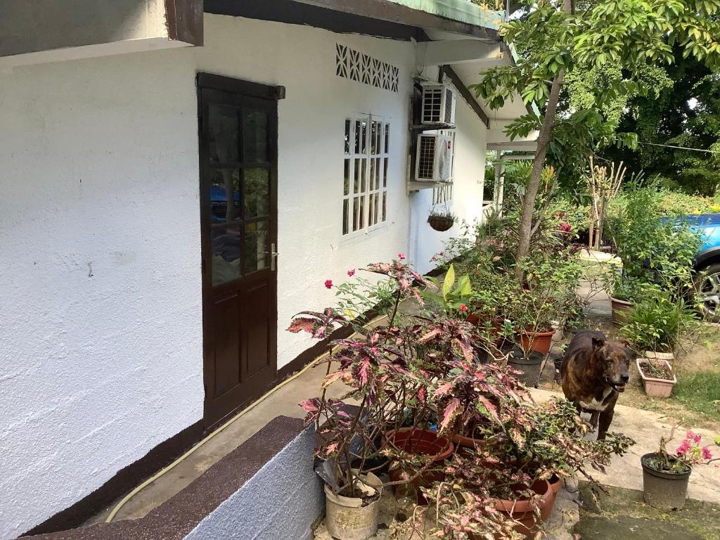 Bora Red Hibiscus Lodge photo 2