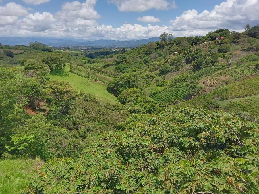 Casa Verde. photo 1